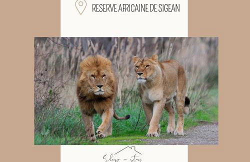 Apartment La Terasse - Foto 30