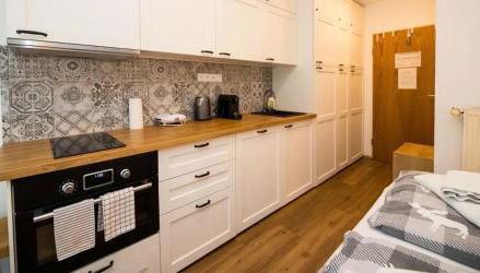 Studio Sumava-Bayerischer Wald - Foto 3