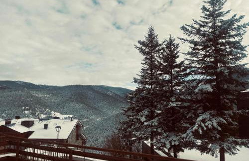 APARTAMENT LA MOLINA ( ELS CIRERES ) - Foto 10