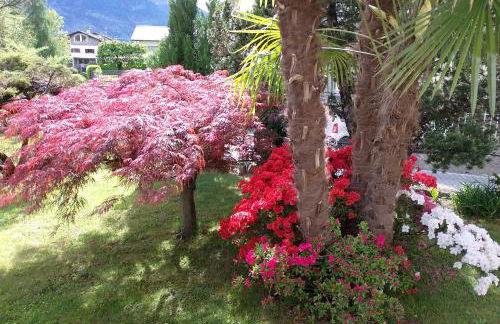 Casa Elena - Foto 44