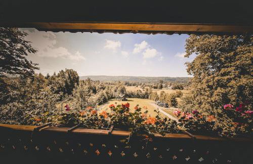 Miętowy Anioł - Foto 29