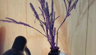 Lawendowe Studio - Foto 4