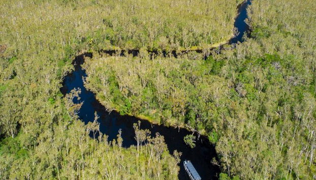 Crucero de serenidad por los Everglades de Noosa - Medio día - Foto 4