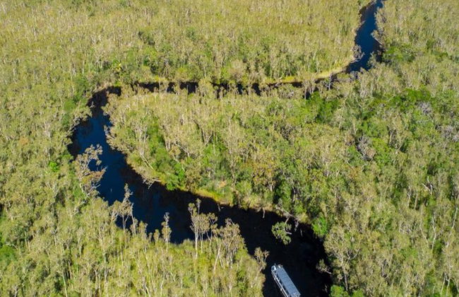 Crucero de serenidad por los Everglades de Noosa - Medio día - Foto 4
