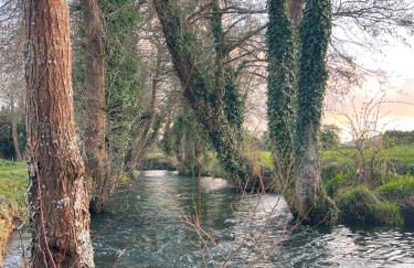 Periplo Home Camelle - Foto 42