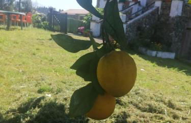 Apartamento en casa rural con amplio jardín a 5 min de la playa Situación inmejorable - Foto 22