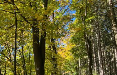 Ferienhaus Bergwiese - Foto 31