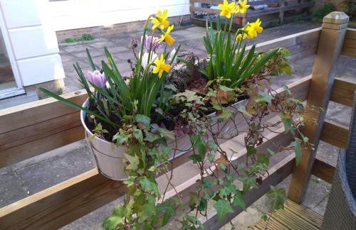 Three Bedroom Apartment by Beautiful Park - Photo 14