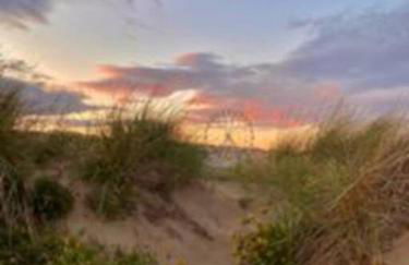 Entre mer et garrigue - Foto 62