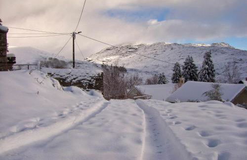 Casa Florestal, na Branda da Bouça dos Homens - Foto 36
