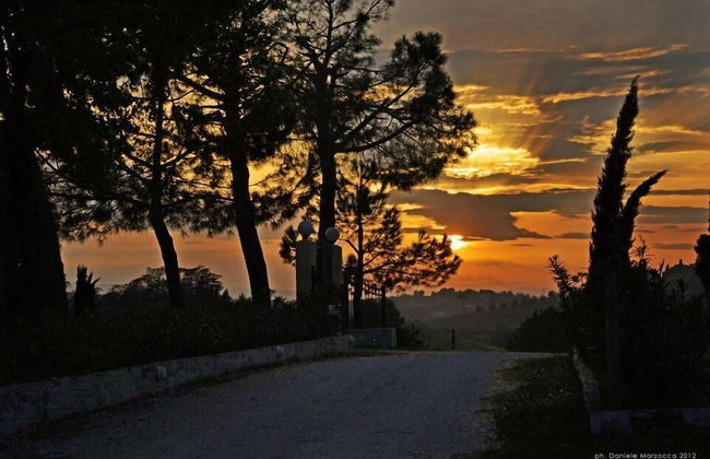 Agriturismo al Colle - Photo 45