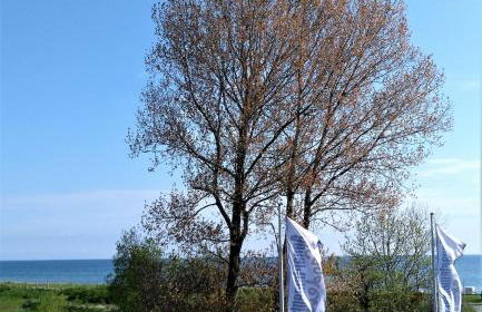 Lykkelig Ferie - Foto 11