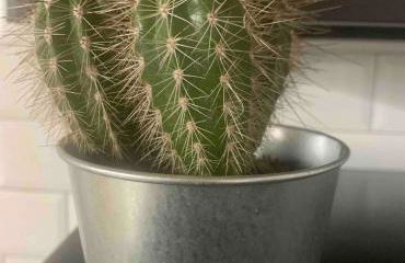 PUERTA DE CACERES Apartamento 4 - Foto 16