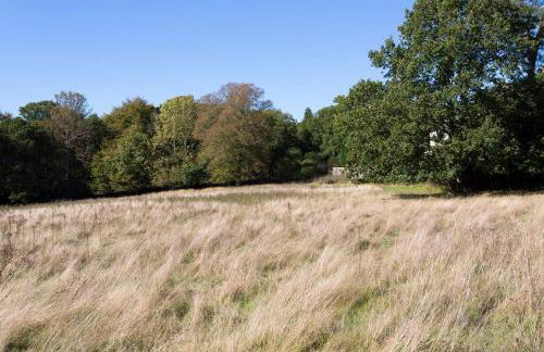 Ravenclaw Hall - Foto 32