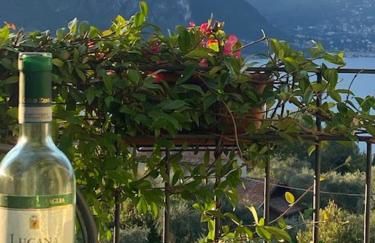 Il Poggio Di Bellagio - Foto 7