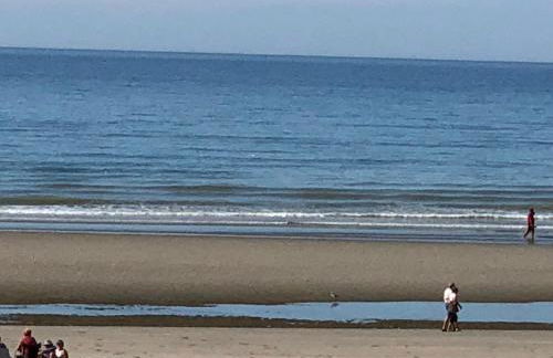 APPARTEMENT 4 PERSONNES CLASSE 2 ETOILES LEBOUCQ Laurent - Foto 12