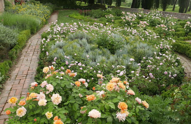 Ca' Bianca Tuscany Relais - Foto 34