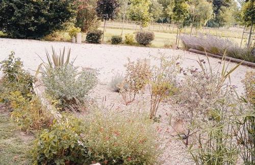 Mas de la Finière - Foto 29