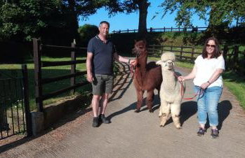 Fentrigan Manor Farm & Holiday Cottages - Foto 78