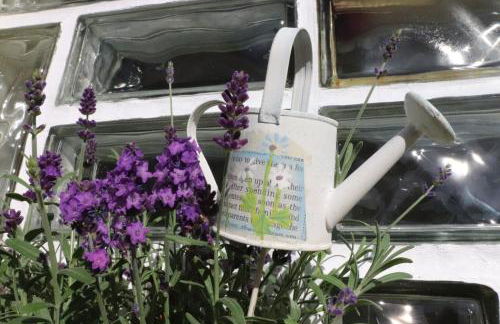 Ferienhaus Steinbach - Foto 9