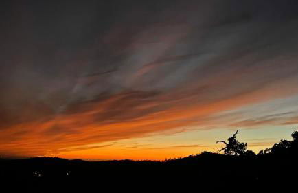 Forest House Oku - Foto 42