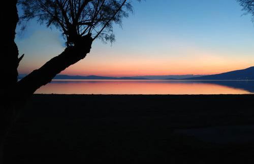 Diamanti Studios - Foto 31