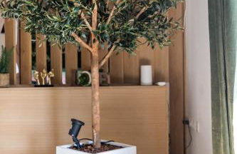 La Cachette des amoureux balnéo en duo - Foto 25