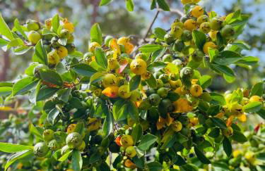 The Farm House.23 - Foto 43