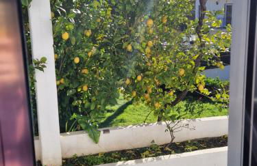 Casa dos Martelitos - Foto 37