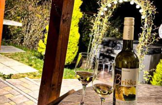 Kuća za odmor Briška - Foto 11