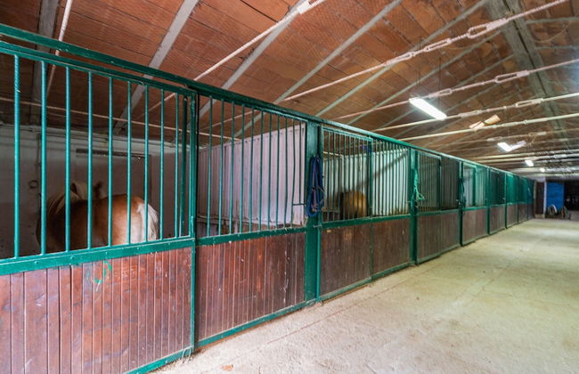 Holiday Home in Ficulle Near Monte Peglia - Foto 28