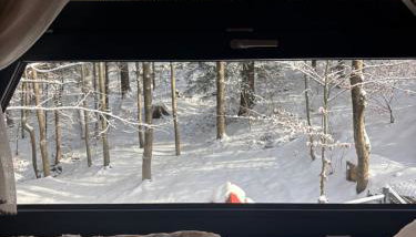 Duszek Lasu - Photo 3