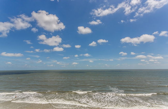 4316 7th Street by Hodnett Cooper - Foto 19