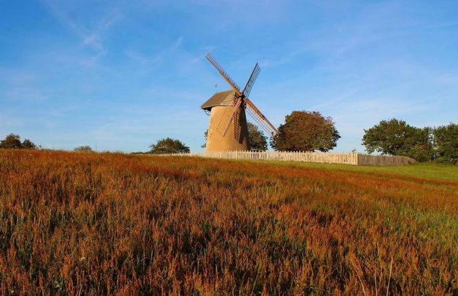 Blackberry Cottage in Bembridge - Foto 38
