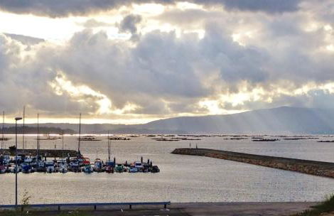 Apartamentos Puerto Basella - Foto 51