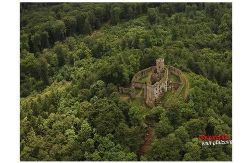 apartment Haus Renate Palatinate Forest - Foto 18