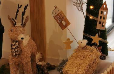 Les Ricochets - Foto 22