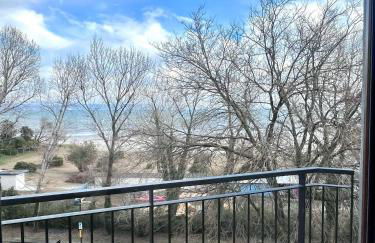 Marine Pearl - Foto 10