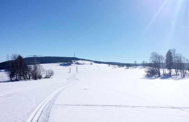 Apartment in Rittersgrun Near Ski Slopes - Foto 30
