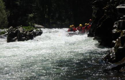 Casa do Tanque T2 - Foto 24