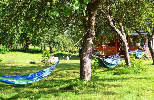 Domek SADKOWO - wśród jabłoni , balia ogrodowa dodatkowo płatna - Photo 40