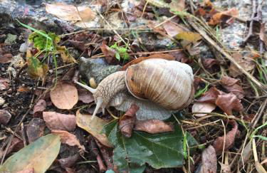 Ferienwohnung "Altes Schloss Wilhelmsfeld" - Foto 27