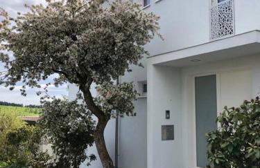 Ruhiges WG-Appartment in Einfamilienhaus - Foto 1