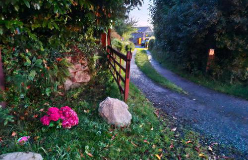 Y Bwthyn at The Old Water Mill on the very edge of Snowdonia - Foto 31