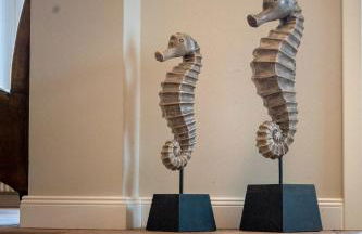 Alte Schule unter Reet- Klassenzimmer - Foto 19