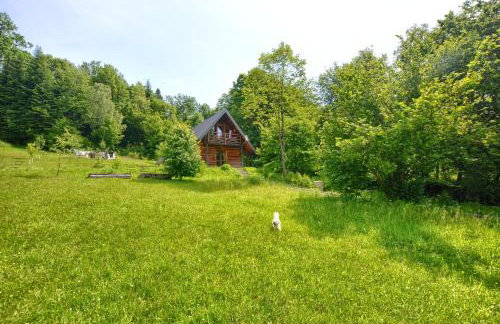 Domek z Piernika 729-656-514 - Foto 16