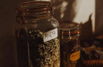 Oaza Marcinkowska - Foto 12