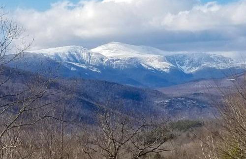 Tin Mountain Treetops Time - Foto 36