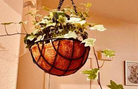 Fragrant Finnish Sauna & Cozy Pool with French 3br - Foto 50