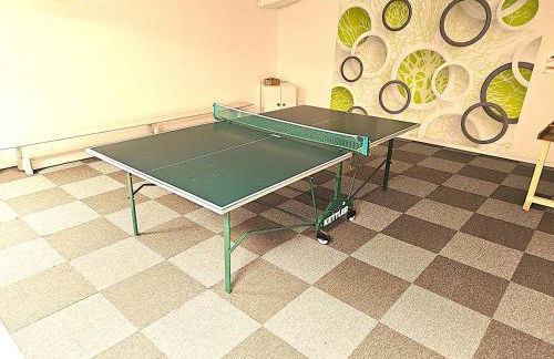 Winterberg Appartement 6 Pers aan Skilift grootste Skigebied nabij Bikepark Unieke locatie met zeer rustige tuin in het bos en het gezellige centrum leuke cafes restaurants en gratis zwembad sauna relax speelruimte parkeerplaats naast Der Brabander - Foto 75